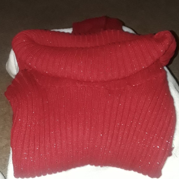 Sweater (Price Firm) - Picture 3 of 3